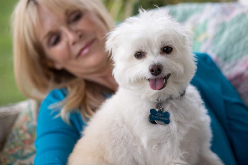 Blond woman in background holding a white fluffy dog